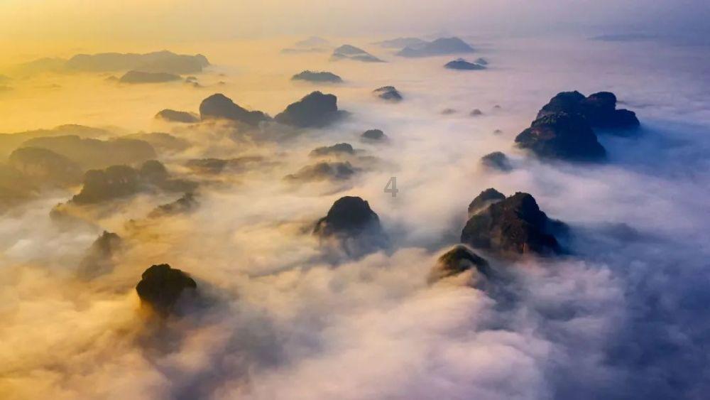 虫虫助手下载
